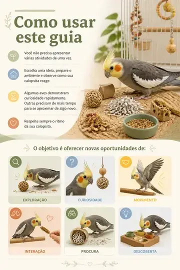 Página: Como usar este guia